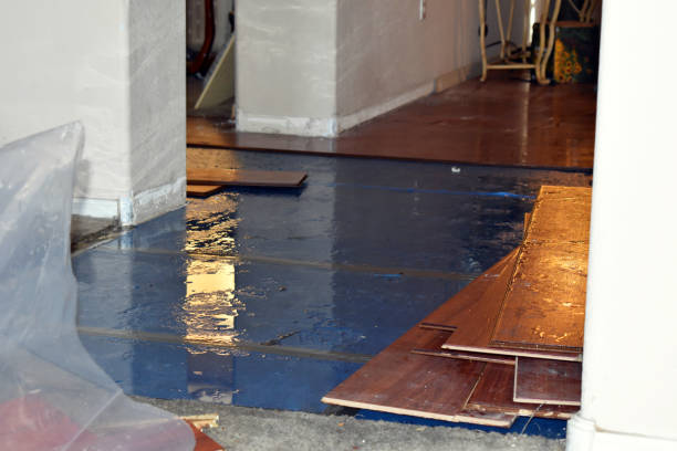 Professional Flood Cleanup technician working in Plattsburg, MO